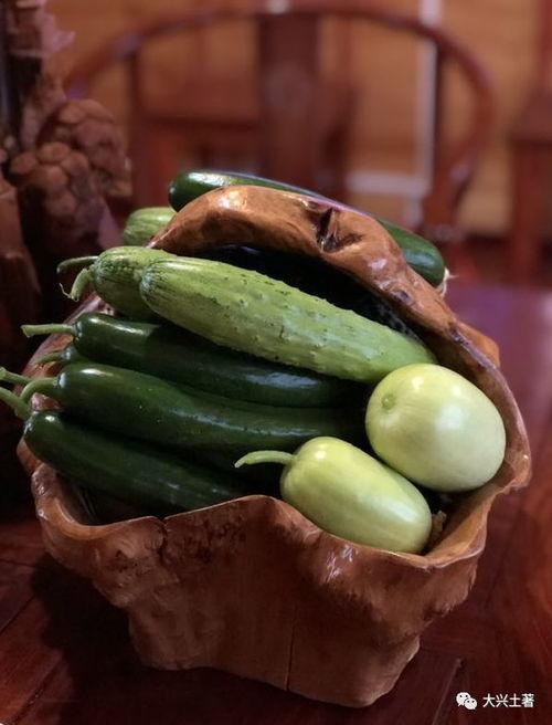 网红吃瓜视频地址,揭秘幕后真相，带你领略网络红人的真实生活